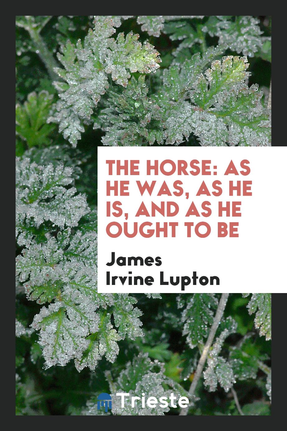 The Horse: As He Was, as He Is, and as He Ought to Be