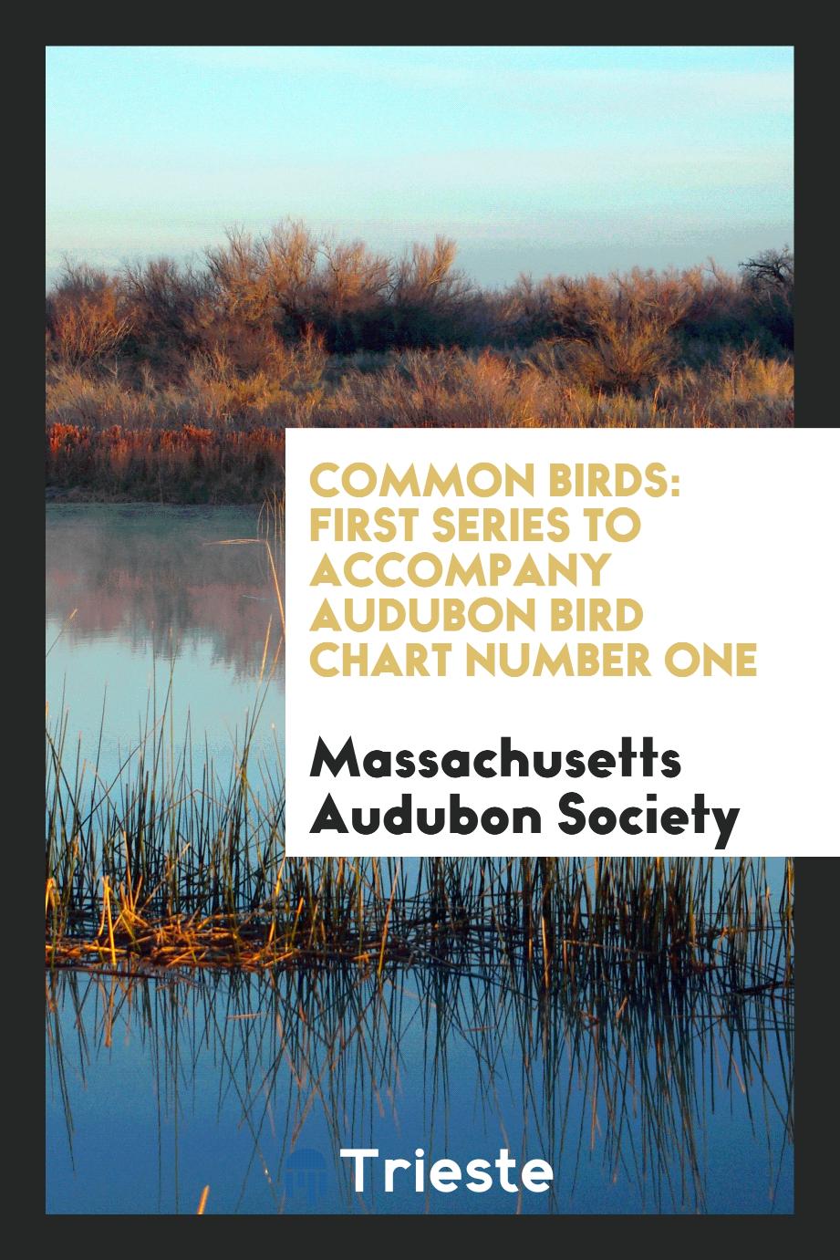 Common birds: First series to accompany Audubon Bird Chart number one