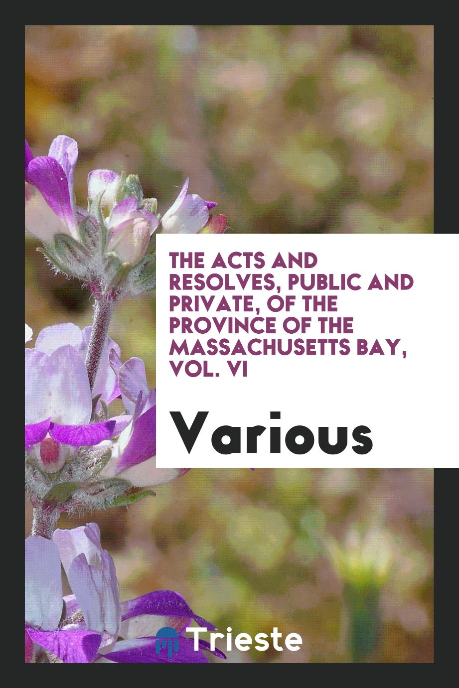 The Acts and Resolves, Public and Private, of the Province of the Massachusetts Bay, Vol. VI