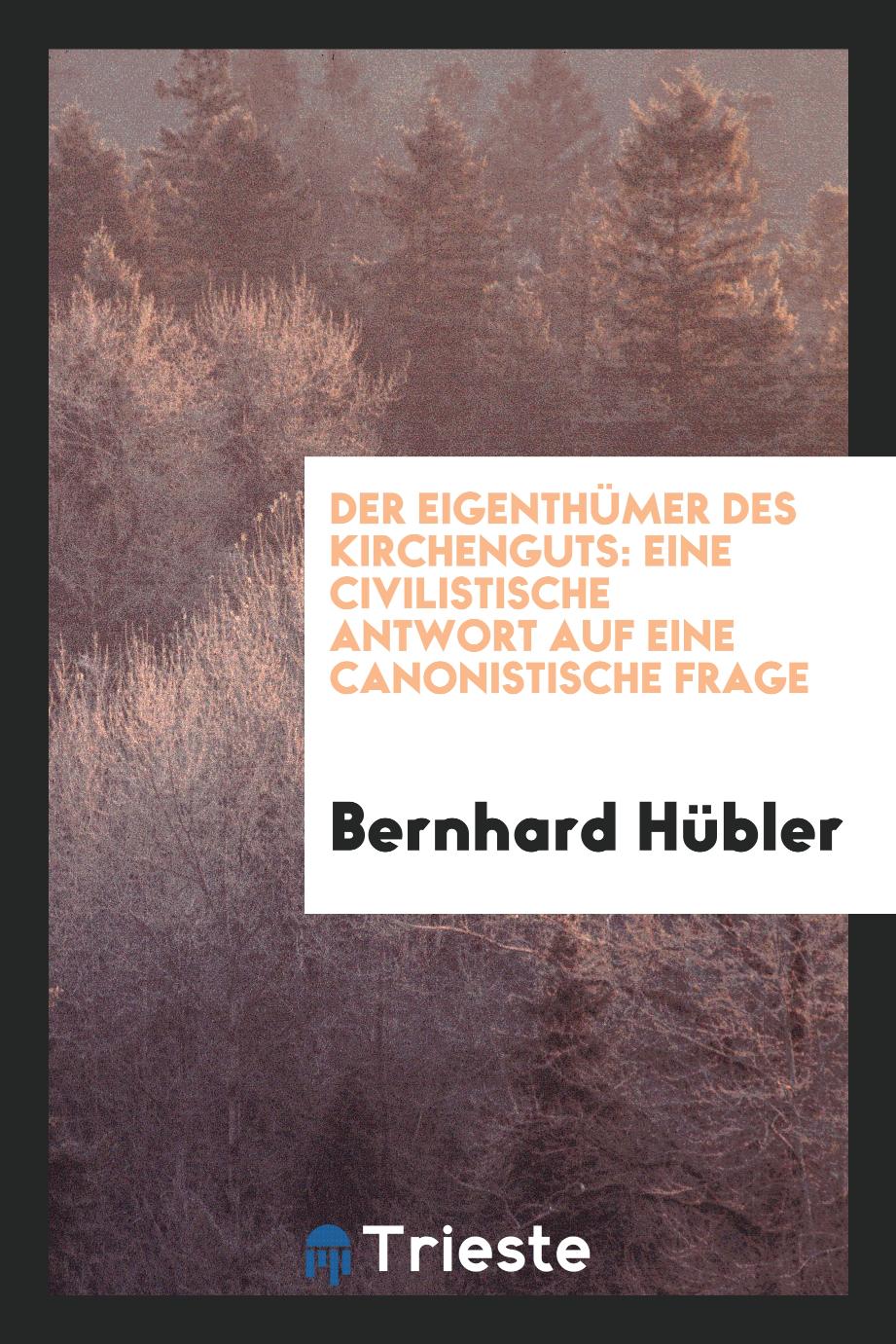 Bernhard Hübler - Der Eigenthümer des Kirchenguts: Eine Civilistische Antwort auf Eine Canonistische Frage