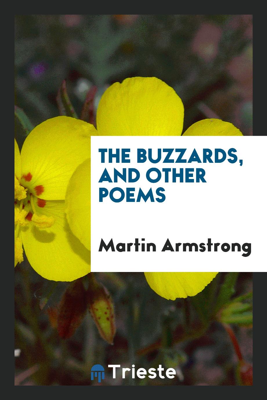The buzzards, and other poems