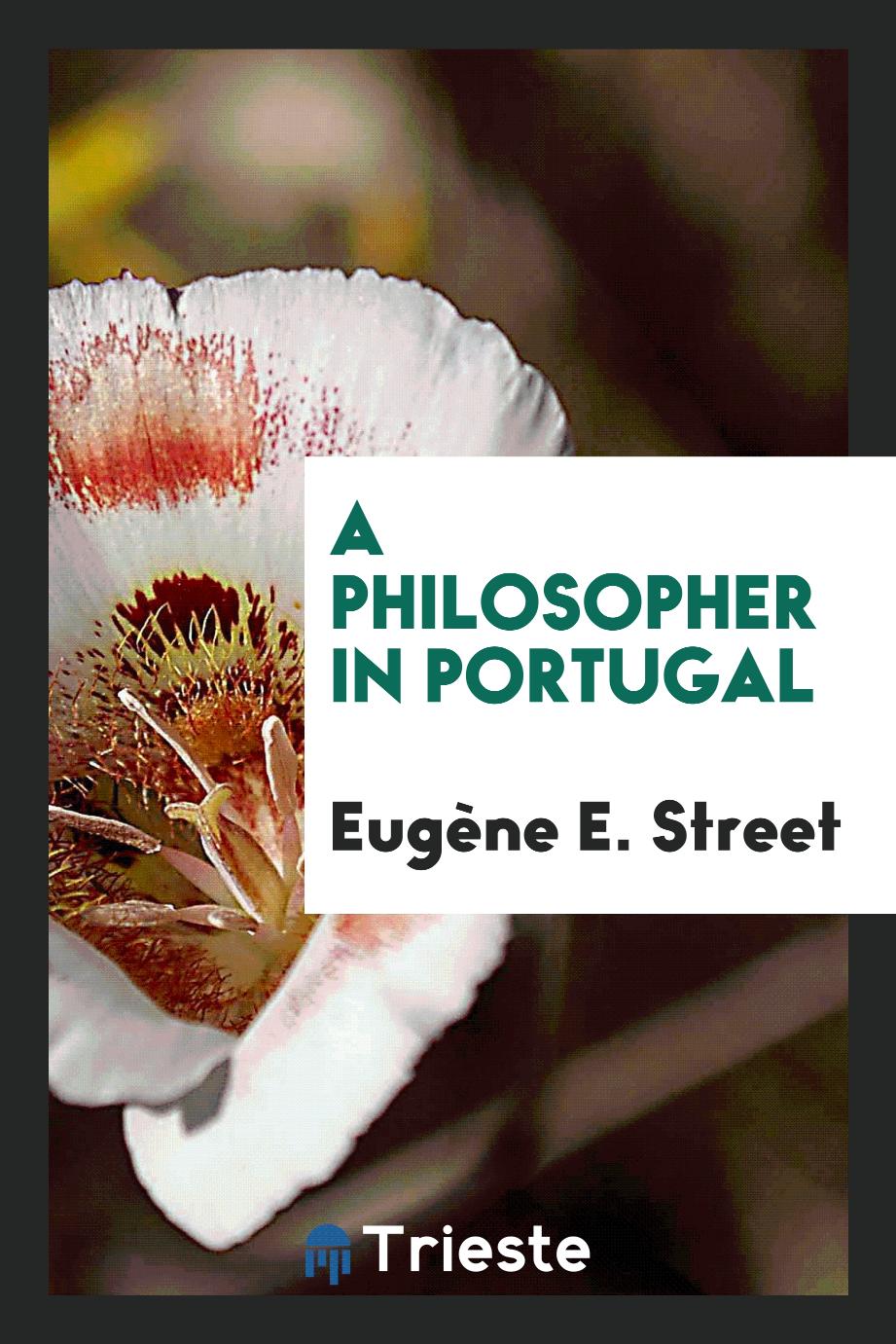 A philosopher in Portugal