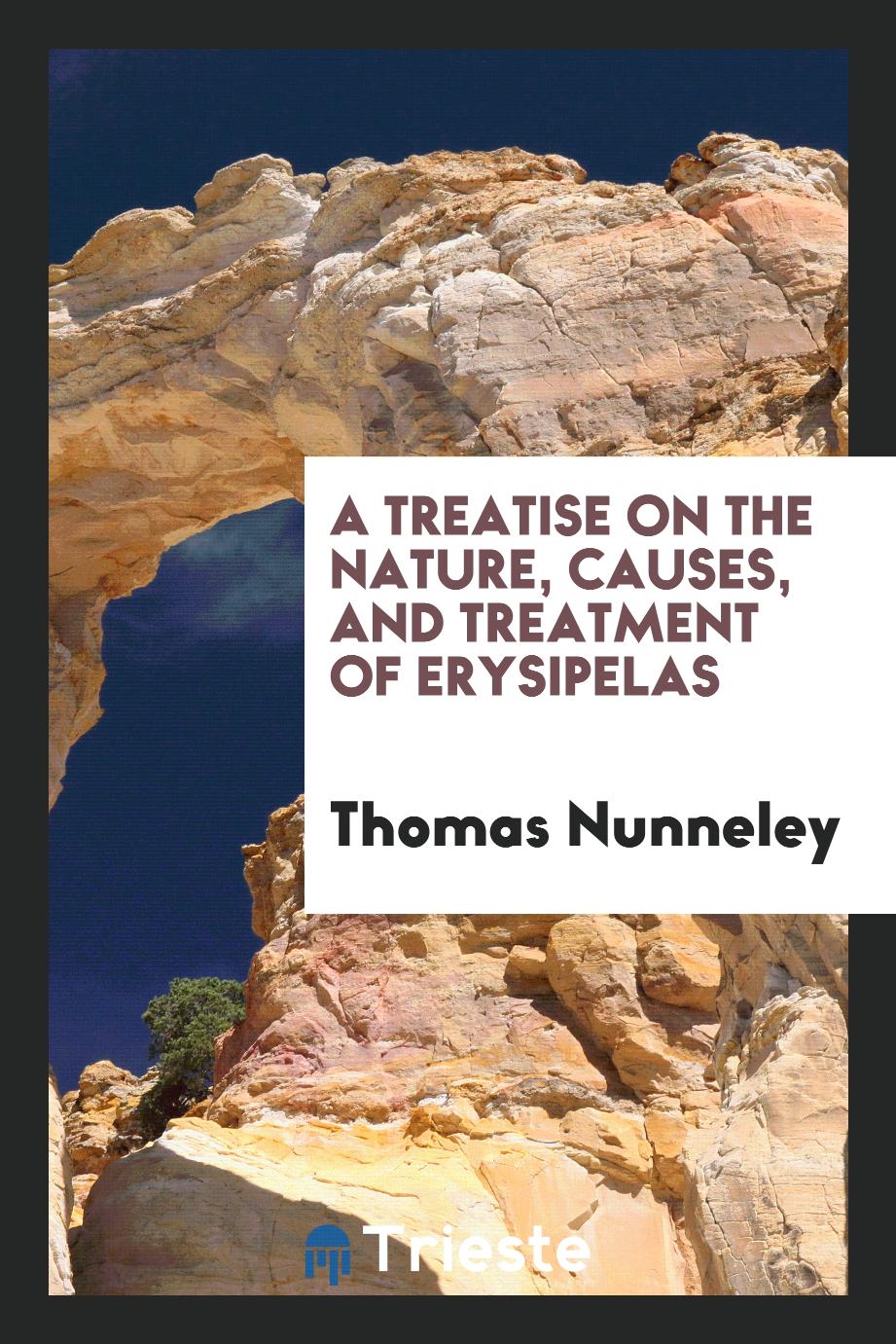 A Treatise on the Nature, Causes, and Treatment of Erysipelas