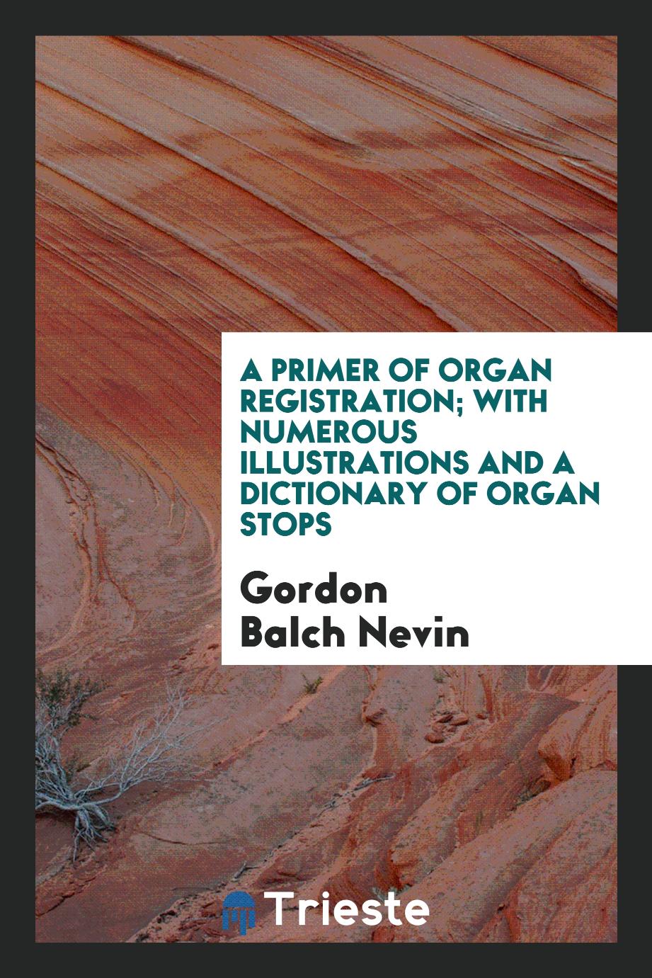 A Primer of Organ Registration; With Numerous Illustrations and a Dictionary of Organ Stops