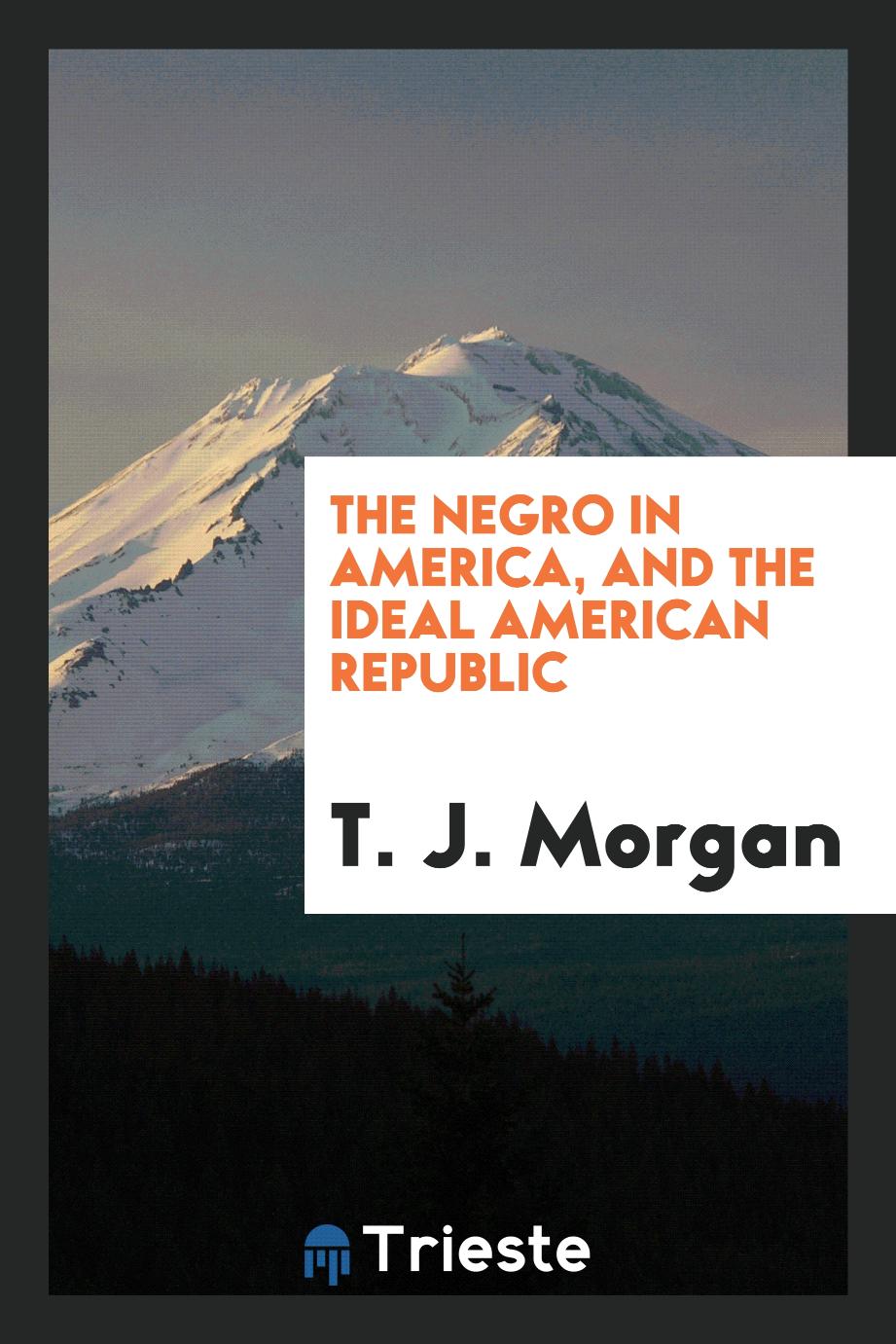 The negro in America, and the ideal American republic