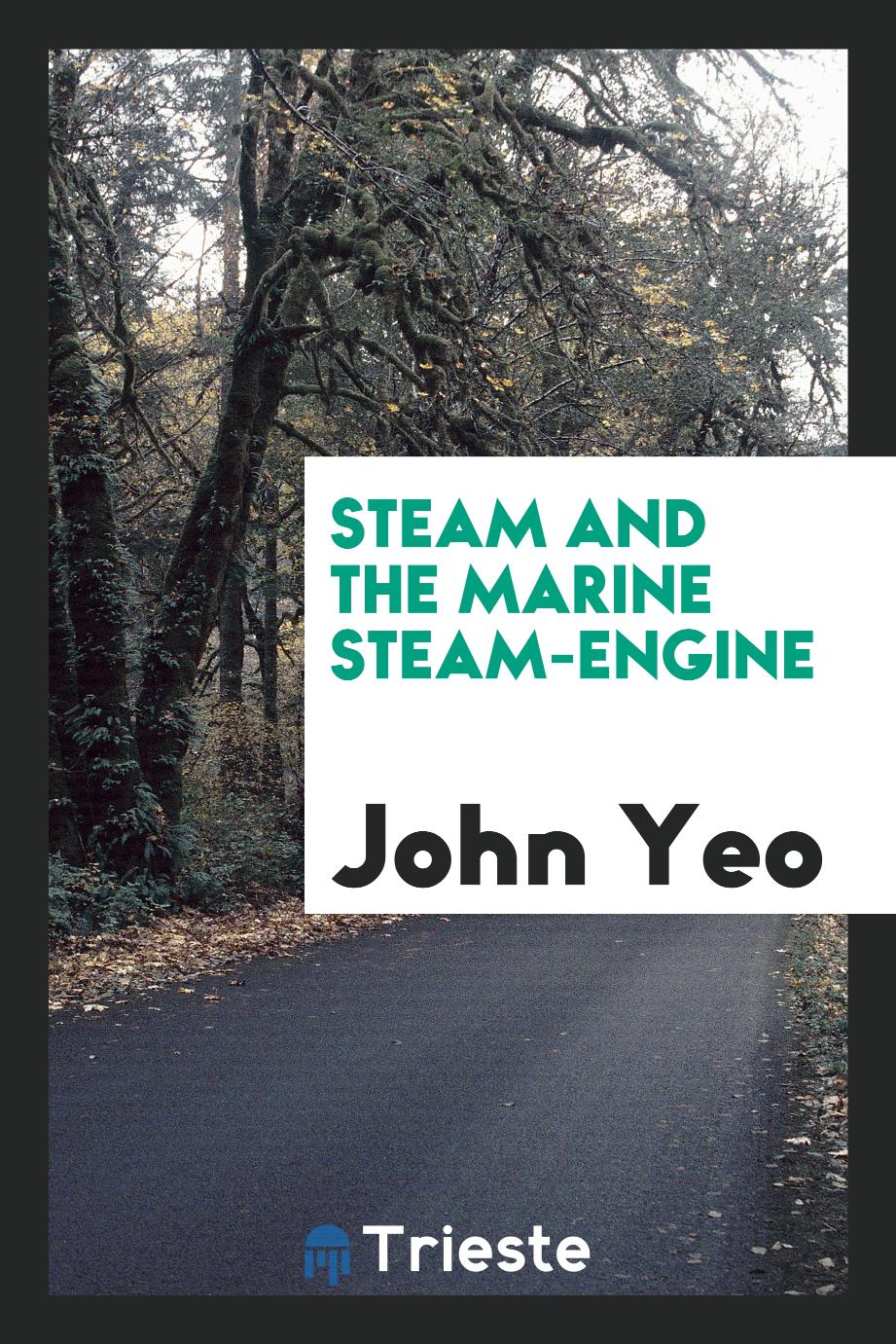 Steam and the Marine Steam-Engine