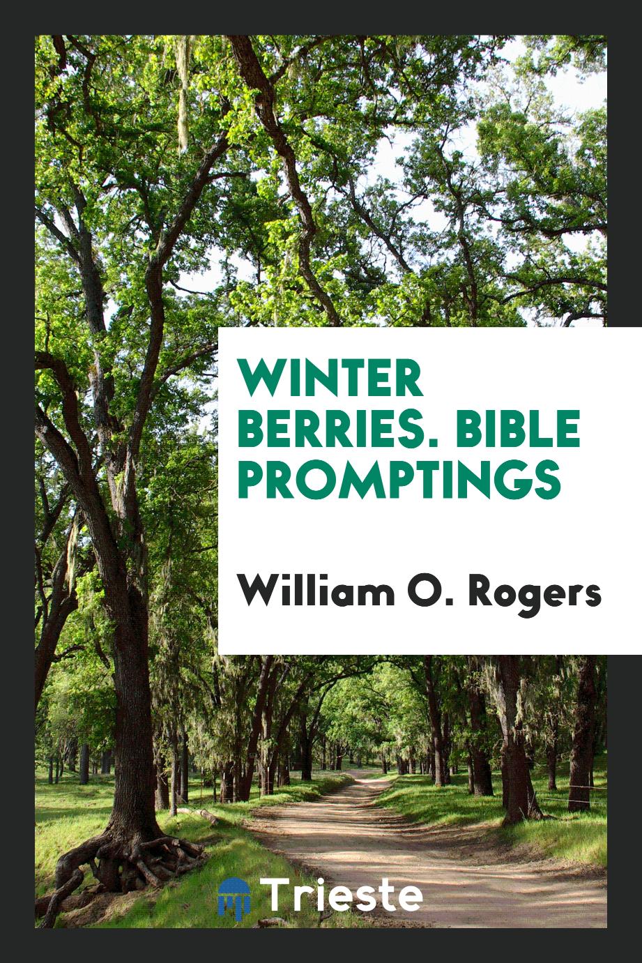 Winter Berries. Bible Promptings