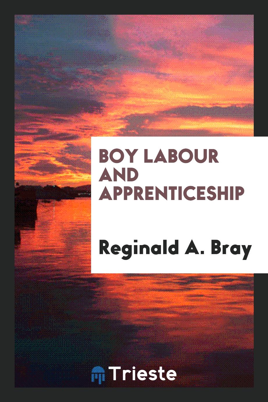 Boy labour and apprenticeship