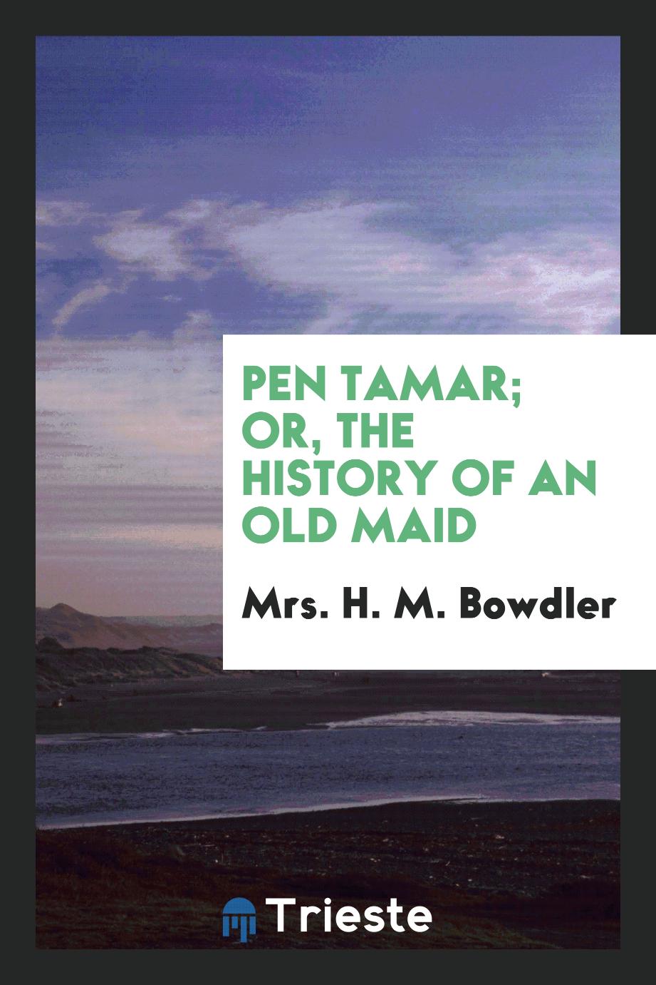 Pen Tamar; or, The history of an old maid