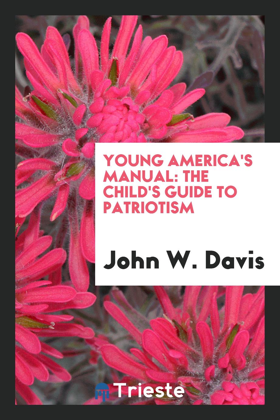 Young America's Manual: The Child's Guide to Patriotism