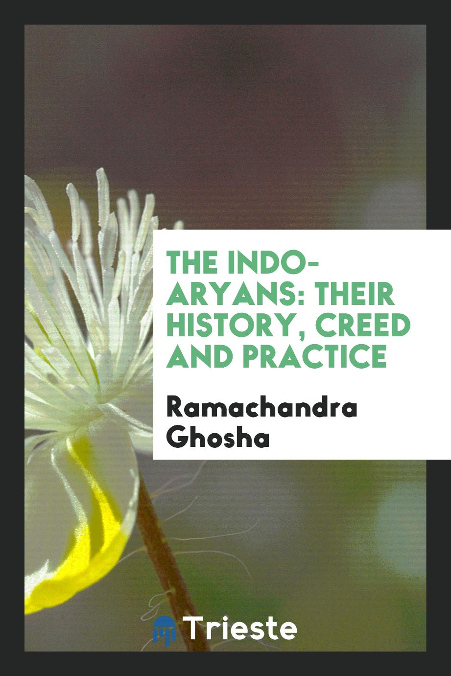 The Indo-Aryans: Their History, Creed and Practice