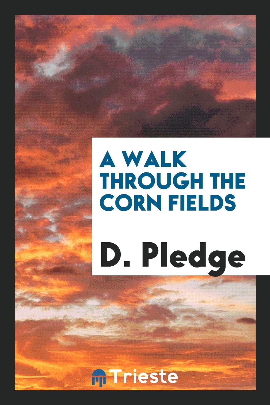 A Walk Through the Corn Fields