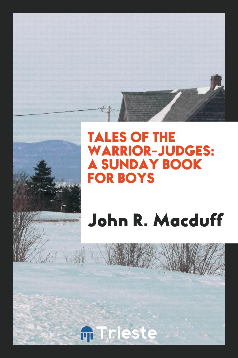 Tales Of The Warrior-Judges: A Sunday Book for Boys