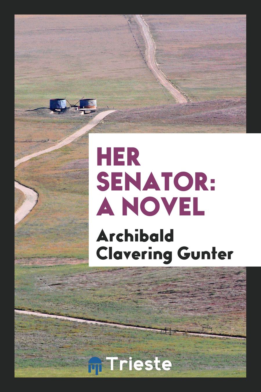 Her Senator: A Novel