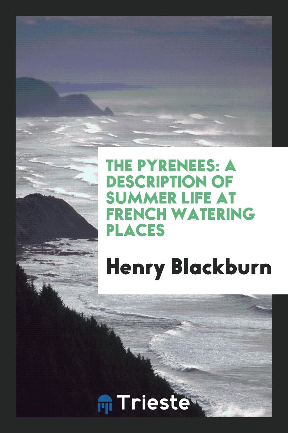 The Pyrenees: A Description of Summer Life at French Watering Places