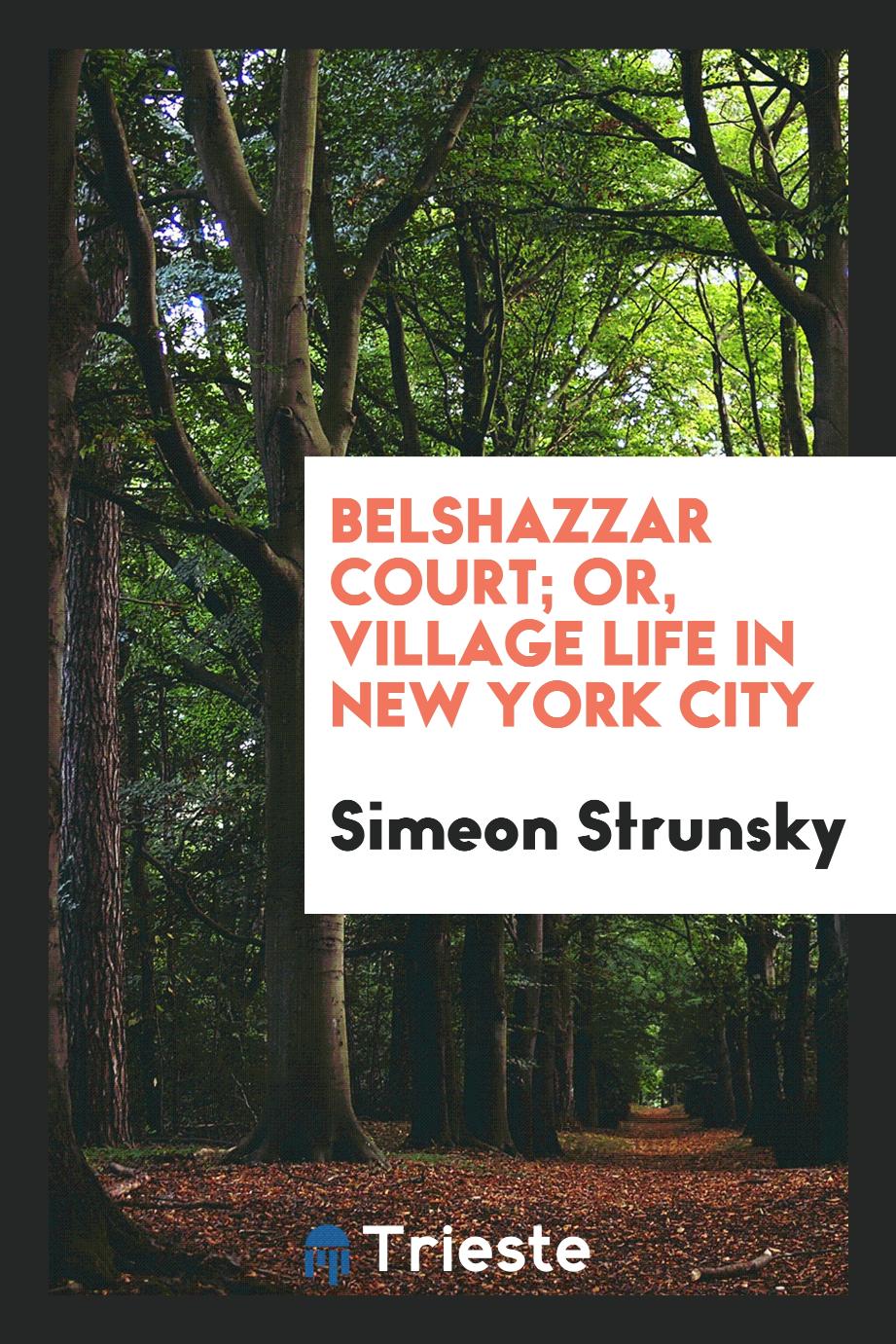 Belshazzar court; or, Village life in New York city