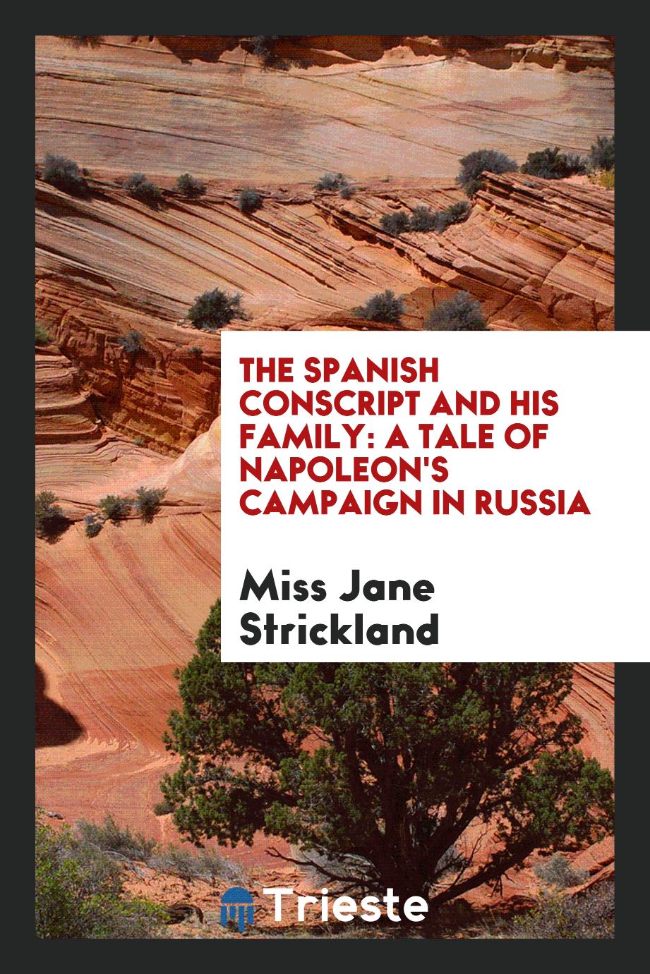 The Spanish Conscript and His Family: A Tale of Napoleon's Campaign in Russia