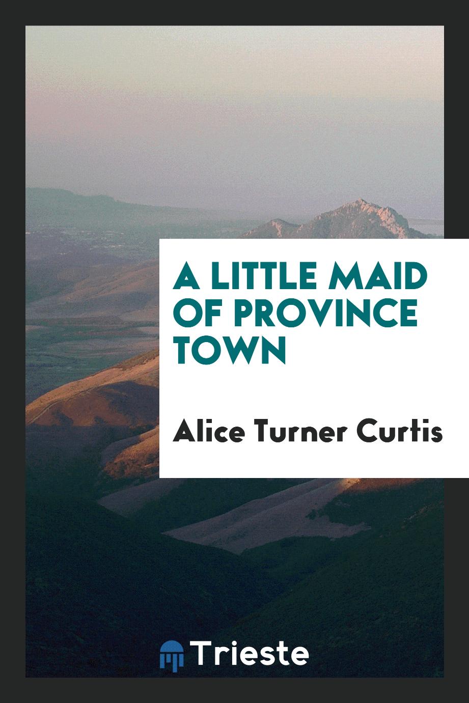 A Little Maid of Province Town